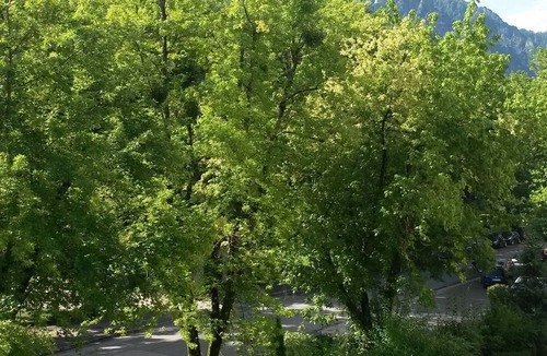Gmain Apartment | Cozy vacation apartment, 35sqm, separate kitchen, balcony with mountain view
