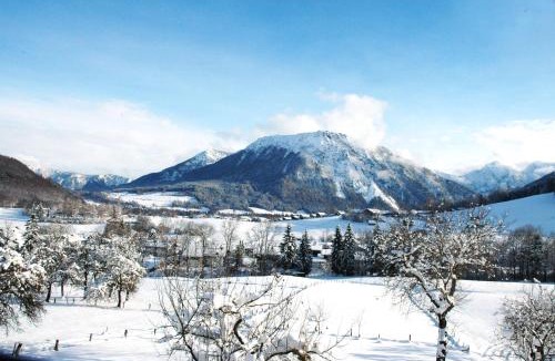 Ruhpolding Apartment | Dammerer Hof inkl. Chiemgaukarte