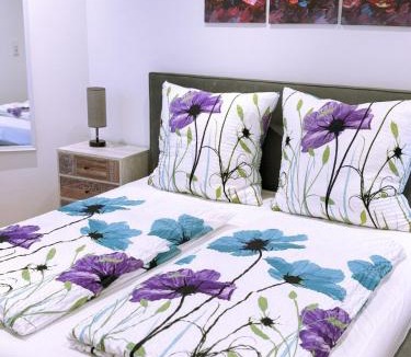 Neustadt an der Aisch Apartment | Deluxe Apartments Neustadt