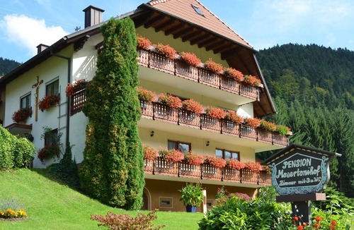 Elzach Bed & Breakfast | Double room 4 with WC and shower, 1 - 3 persons - Mosertonihof