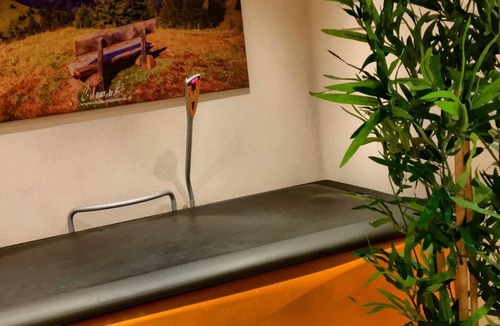 Nesselwaengle Apartment | Double room with balcony 4 - Apartments and Pension Mariandl