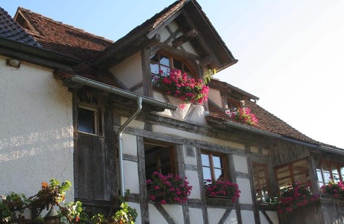 Muhlheim an der Donau Apartment | Einzelzimmer mit Dusche und WC