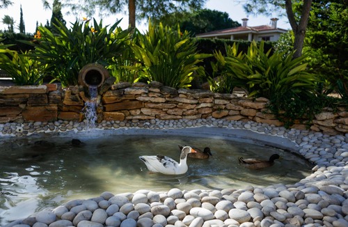 Elche Ski Chalet | "El Campirri", Chalet.