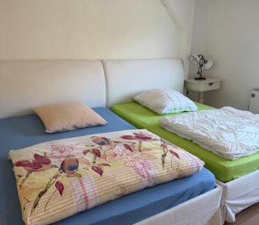 Konigstein an der Elbe Apartment | Elbblick