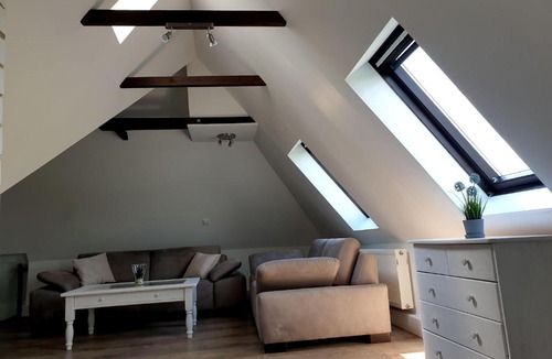 Konigstein an der Elbe Apartment | Elbblick-grosse-Loftwohnung-mit-Terasse-Sauna-und-Kamin