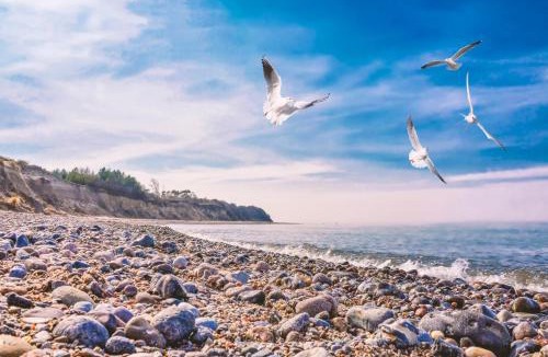 Bakenberg Other | Familienwohnzelt ZELT UND SAND direkt am Strand