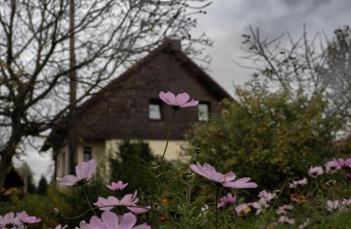 Bad Gottleuba-Berggiesshuebel House | Ferienhaus Oelsener Höhe