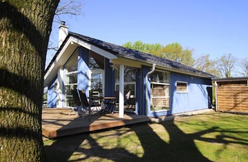 Dummer House | Ferienhaus Seeadler mit Sauna am Dümmer See