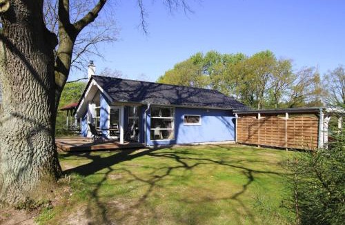 Dummer House | Ferienhaus Seeadler mit Sauna am Dümmer See