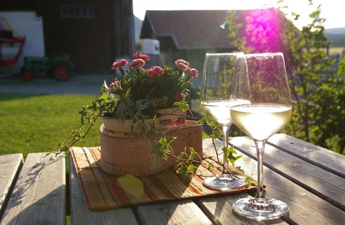Burgberg Apartment | Ferienhof Hierl