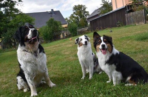 Rathmannsdorf Apartment | Ferienhof Höhensonne - Vacation with dog - Holiday apartment 1, 3 bedrooms