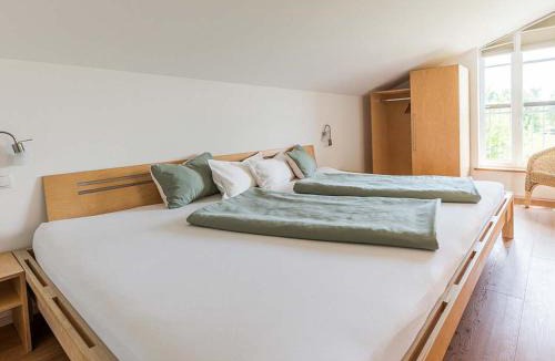 Argenbuhl Apartment | Ferienhof Rummel Allgäu - verschiedene Unterkünfte für bis zu 6 Personen - Sauna, Spielplatz, Lagerfeuer & Frühstücksservice - ideal für Familien- und Aktivurlaub