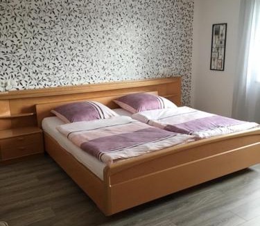 Schwarzenbach an der Saale Apartment | Ferienwohnung Waldhütter