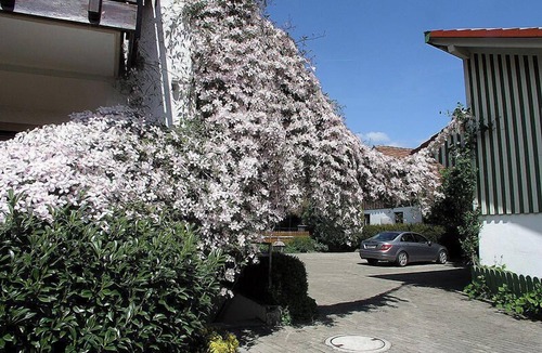 Wasserburg House | Ferienwohnung 1 mit ca. 46qm, 1 Schlafraum, für maximal 4 Personen