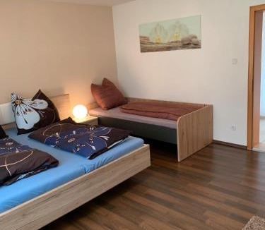 Maibrunn Apartment | Ferienwohnung Ödbach mit Terrasse