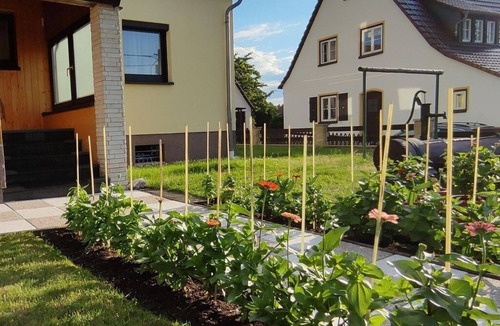 Hohnstein Apartment | Ferienwohnung, 1 Schlafraum - Ferienwohnung zum Brand