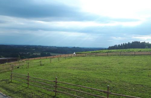 Haselbach Apartment | Ferienwohnung am Dachsberg, Bayerischer Wald