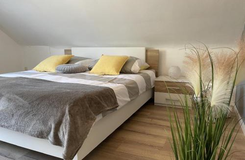 Schauenstein Apartment | Ferienwohnung am Goldberg mit überdachter Loggia
