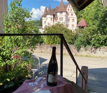 Schmieheim Apartment | Ferienwohnung am Schlossgarten