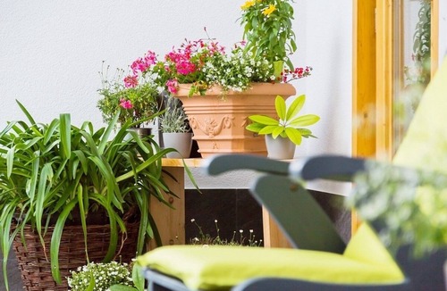 Rofleuten Apartment | Ferienwohnung/app. für 4 Gäste mit 59m² in Pfronten