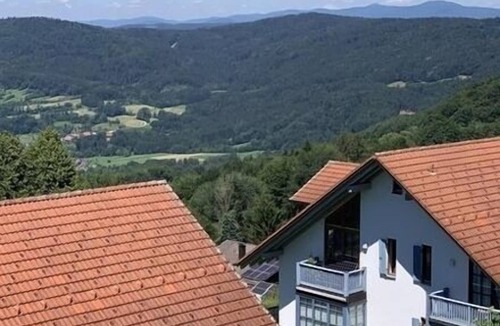 Schofweg Apartment | Ferienwohnung/app. für 3 Gäste mit 36m² in Schöfweg
