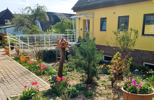 Balm Apartment | Ferienwohnung Balmer Wiesen - Ferienwohnung