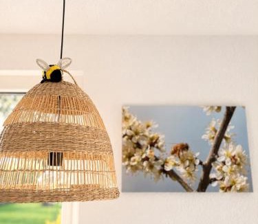 Menden Apartment | Ferienwohnung Bienenkörbchen