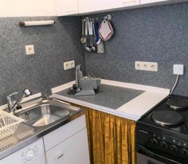 Bad Steben Apartment | Ferienwohnung Central
