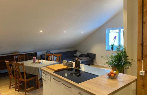 Staufen im Breisgau Apartment | Ferienwohnung Lehmann