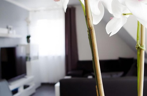 Lotte Apartment | Ferienwohnung Für 2 Personen 54 M²