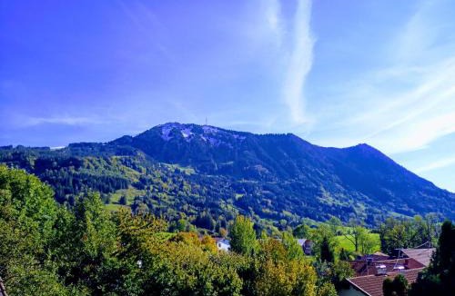 Rettenberg Apartment | Ferienwohnung Grüntenpanorama im Jägerwinkl Allgäu