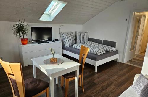 Weissensberg Apartment | Ferienwohnung Haldenblick