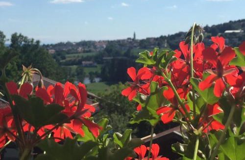 Hauzenberg Apartment | Ferienwohnung Hauzenberg Blick