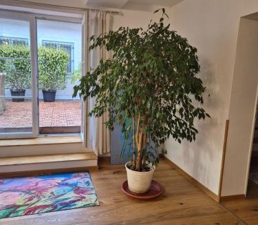 Kolbermoor Apartment | Ferienwohnung Jelen - Kaffee - Tee - Lichthof - 135 qm