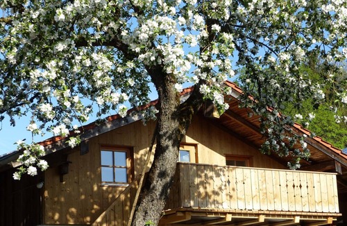 Bad Endorf Apartment | Ferienwohnung Jollinger Stadl, 39 qm DG, Kombinierter Wohn- & Schlafraum