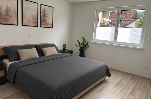 Staffelstein Apartment | Ferienwohnung Katharina