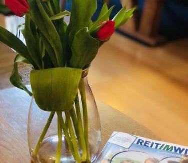 Groissenbach Apartment | Ferienwohnung Lofereck Reit im Winkl