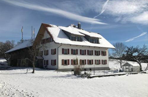 Wangen im Allgaeu Apartment | Ferienwohnung Merk