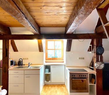 Landshut Apartment | Ferienwohnung Nepomuk