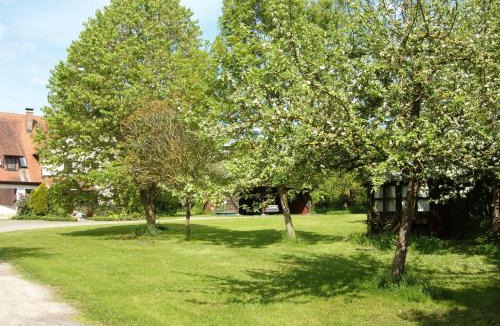 Neureuth Apartment | Ferienwohnung Neureuth