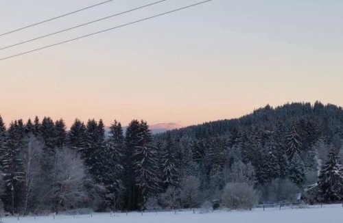 Kirchdorf im Wald Apartment | Ferienwohnung Ramona - idyllisch und charmant