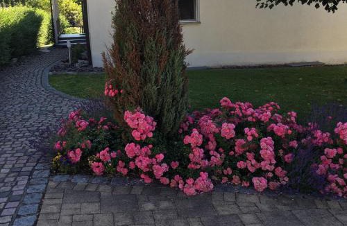 Albbruck Apartment | Ferienwohnung Reiner