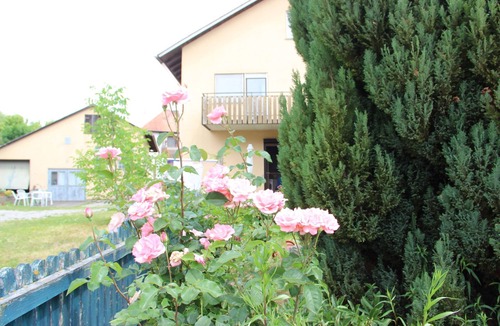 Muehlingen Apartment | Ferienwohnung Säntis, 50qm, Balkon, 1 Schlafzimmer, max. 5 Personen
