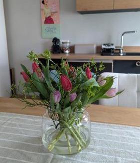 Baerenburg Apartment | Ferienwohnung Sorgenfrei