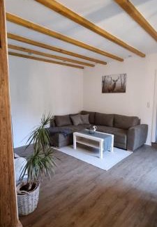 Schollbrunn Apartment | Ferienwohnung Spessartbude