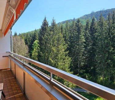 Obertal Apartment | Ferienwohnung Tannenballett mit Panorama über den Schwarzwald in Baiersbronn