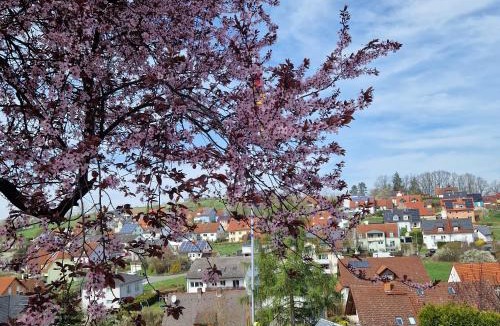 Viereth Apartment | Ferienwohnung Wachter in Viereth mit tollem Ausblick