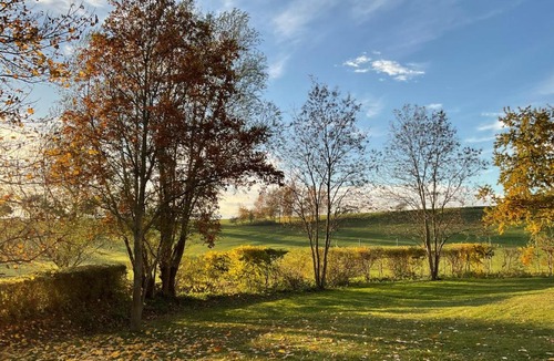 Balm Apartment | Ferienwohnung Werth am Balmer See ab 4 Nächte