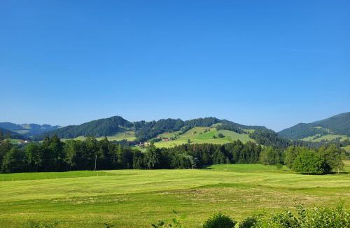 Steibis Apartment | Ferienwohnung Zum Hochgrat