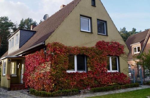Herrenwyk Apartment | Ferienwohnung zwischen Lübeck und Travemünde